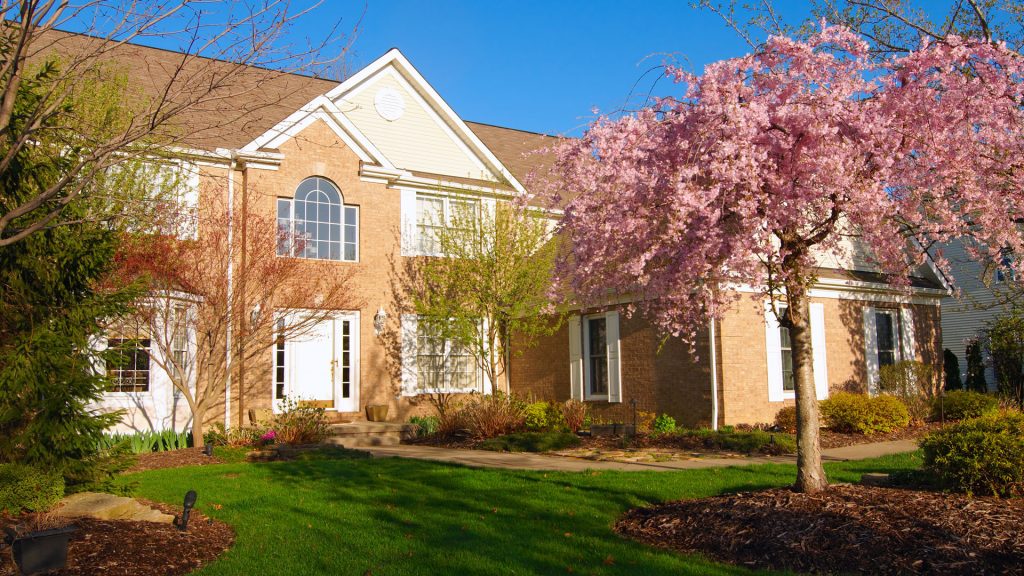Whether buying or selling a home in Michigan, a top real estate agent from RE/MAX, The Collective Agency will ensure the entire process goes smoothly.