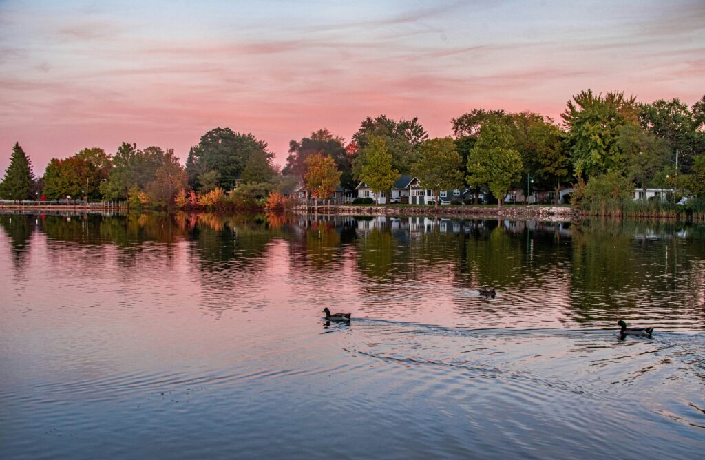 ducks in the middle of the lake surrounded by houses and trees