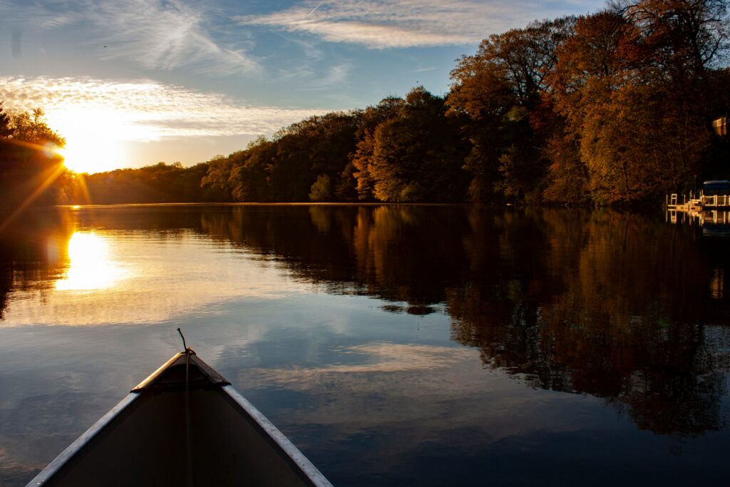 white boat on a lake near green trees during daytime