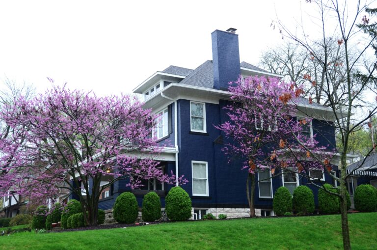 a blue brick 2 story farmhouse with blooming Redbuds trees
